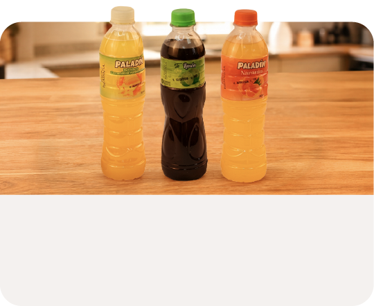 Bebidas Pinulito